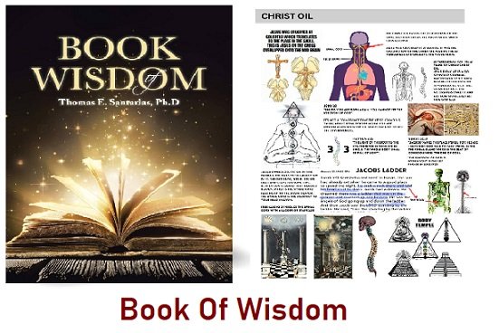 Book Of Wisdom pdf