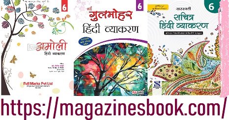 Class 6 Hindi Vyakaran Book PDF